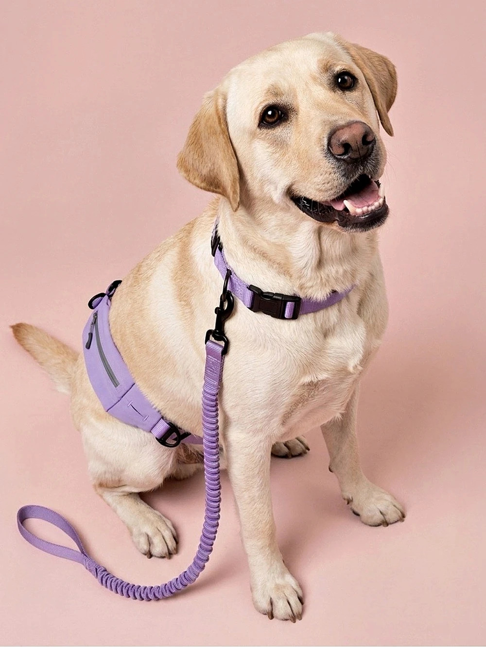 Arcadia Trail Hands-Free Running Leash Purple
